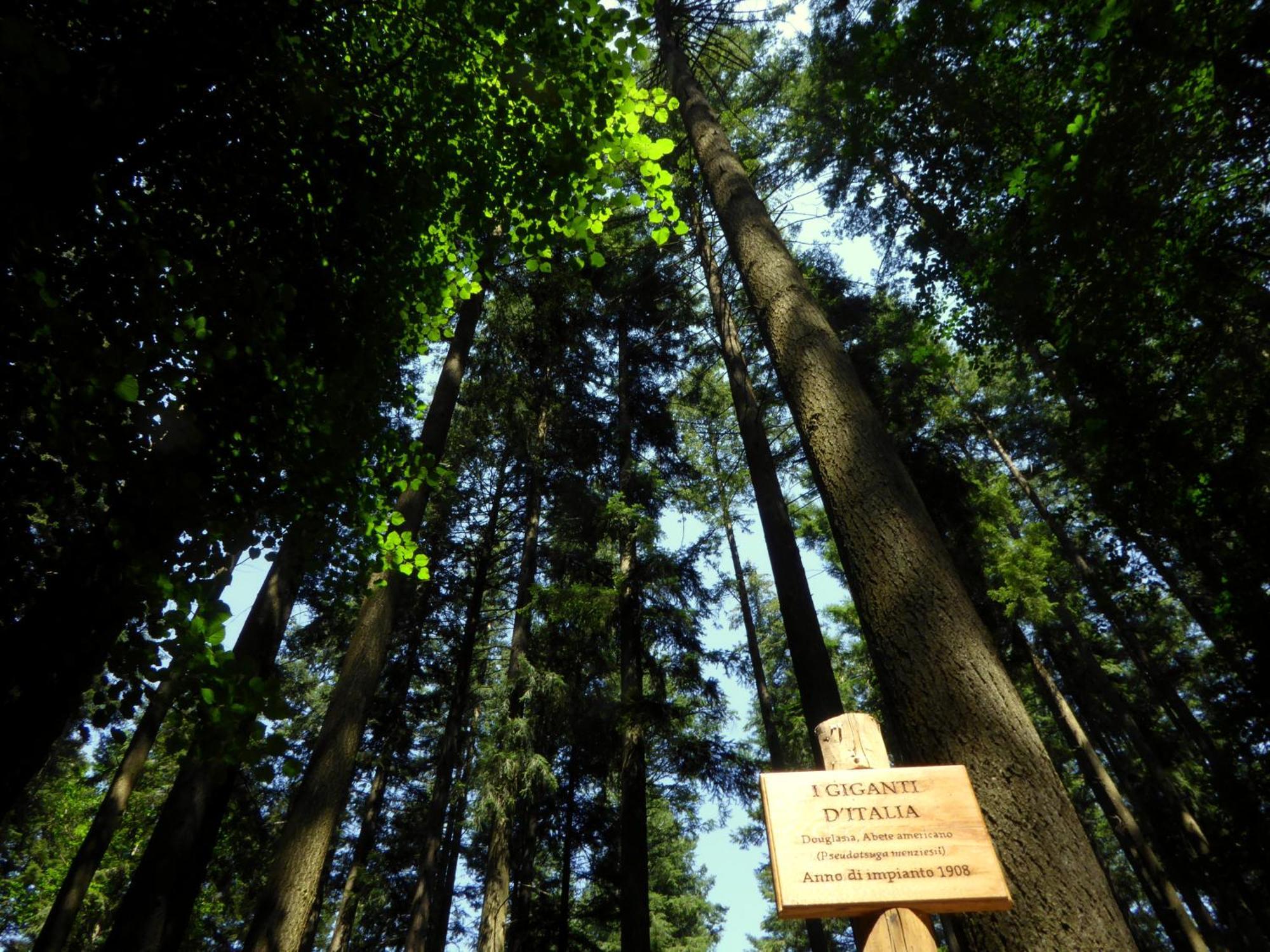 Hotel Rifugio La Foresta Vallombrosa Exteriér fotografie